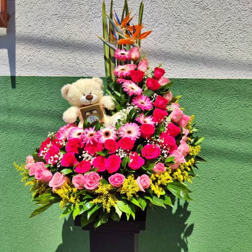 Peluche de Dragon Ball